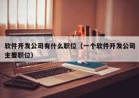 软件开发公司有什么职位（一个软件开发公司主要职位）