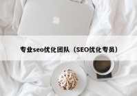 专业seo优化团队（SEO优化专员）