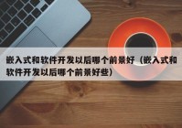 嵌入式和软件开发以后哪个前景好（嵌入式和软件开发以后哪个前景好些）